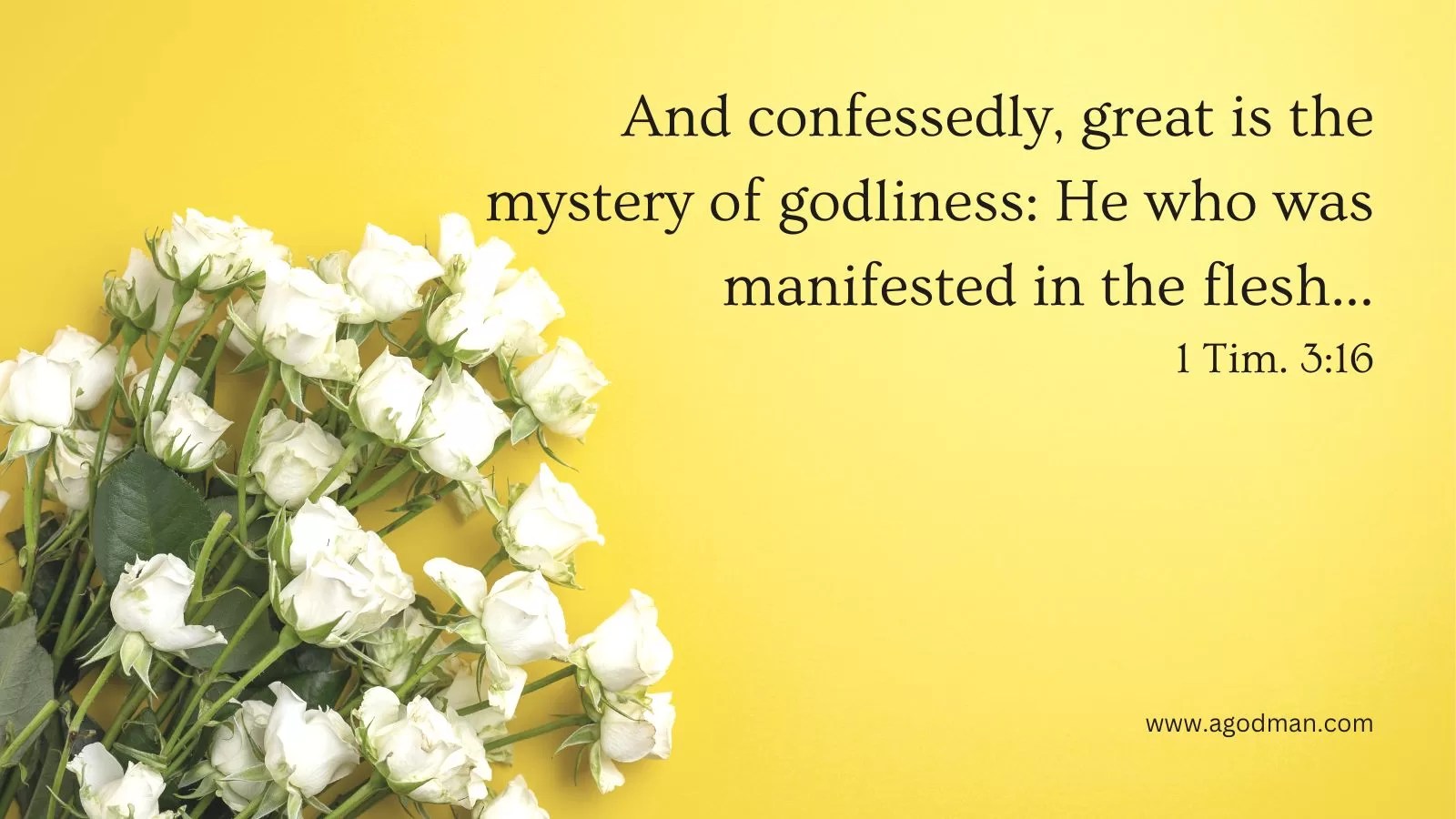 And confessedly, great is the mystery of godliness: He who was manifested in the flesh... 1 Tim. 3:16