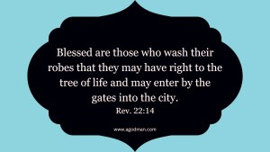 Blessed are those who wash their robes that they may have right to the tree of life and may enter by the gates into the city. Rev. 22:14