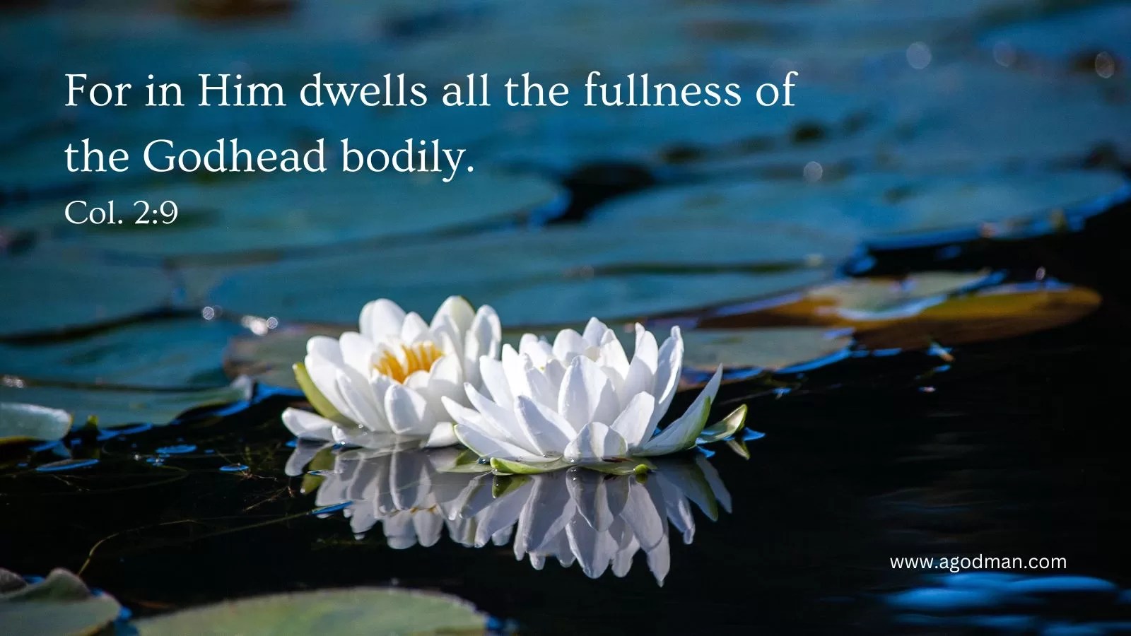 For in Him dwells all the fullness of the Godhead bodily. Col. 2:9