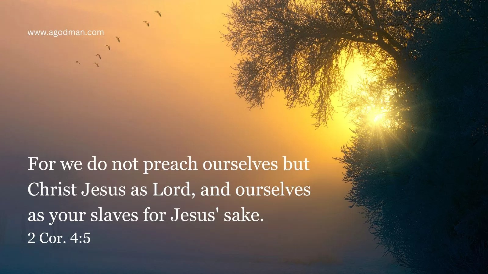 For we do not preach ourselves but Christ Jesus as Lord, and ourselves as your slaves for Jesus' sake. 2 Cor. 4:5