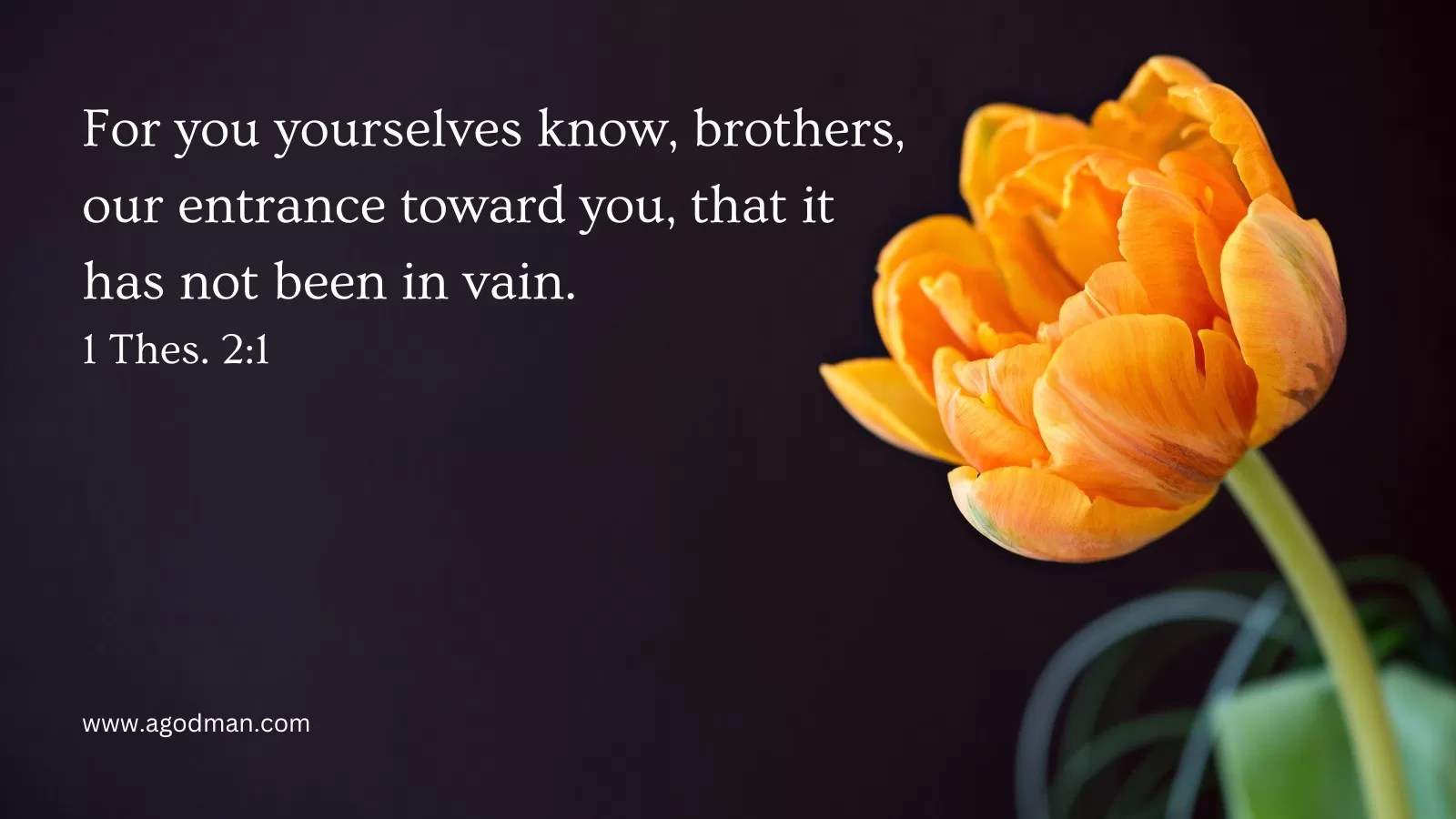 For you yourselves know, brothers, our entrance toward you, that it has not been in vain. 1 Thes. 2:1