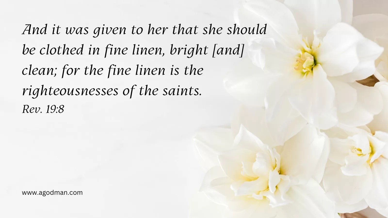 And it was given to her that she should be clothed in fine linen, bright [and] clean; for the fine linen is the righteousnesses of the saints. Rev. 19:8