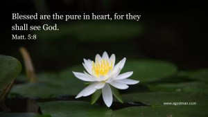 Blessed are the pure in heart, for they shall see God. Matt. 5:8