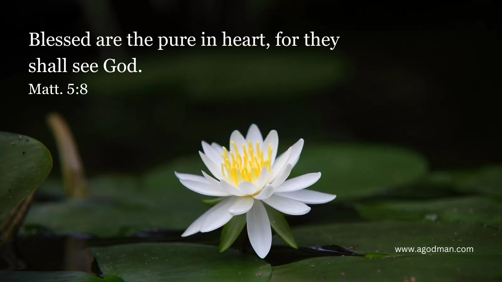Blessed are the pure in heart, for they shall see God. Matt. 5:8