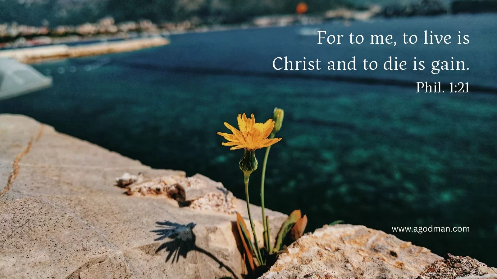 For to me, to live is Christ and to die is gain. Phil. 1:21