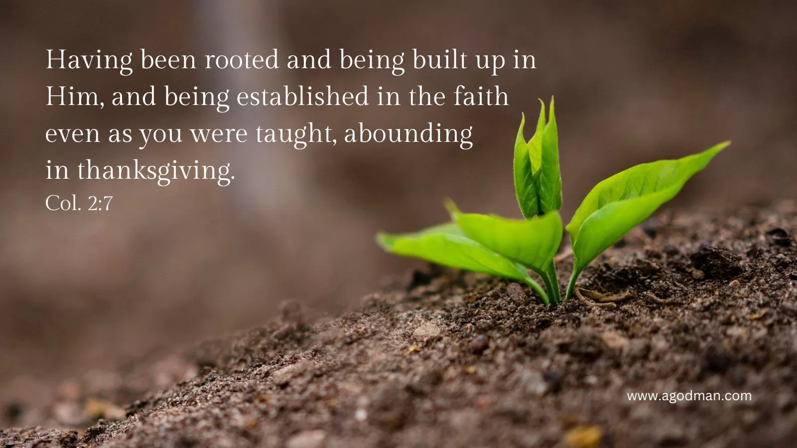 But holding to truth in love, we may grow up into Him in all things, who is the Head, Christ. Eph. 4:15
