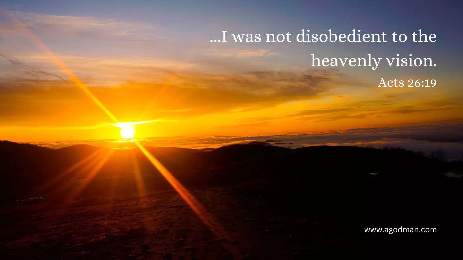 ...I was not disobedient to the heavenly vision. Acts 26:19
