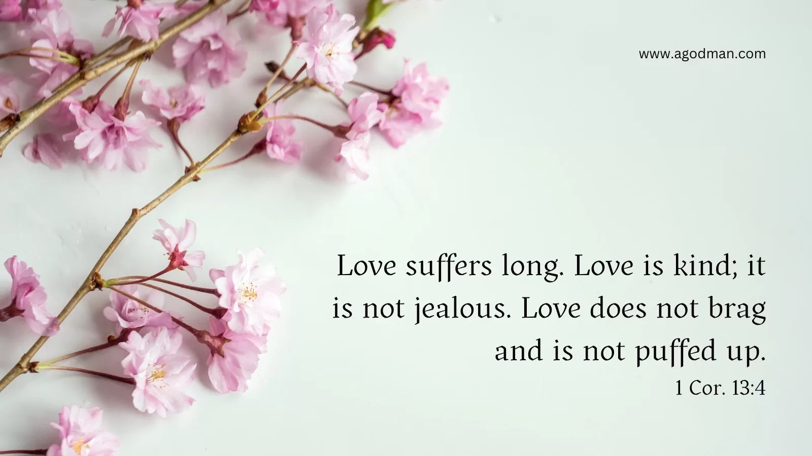 Love suffers long. Love is kind; it is not jealous. Love does not brag and is not puffed up. 1 Cor. 13:4