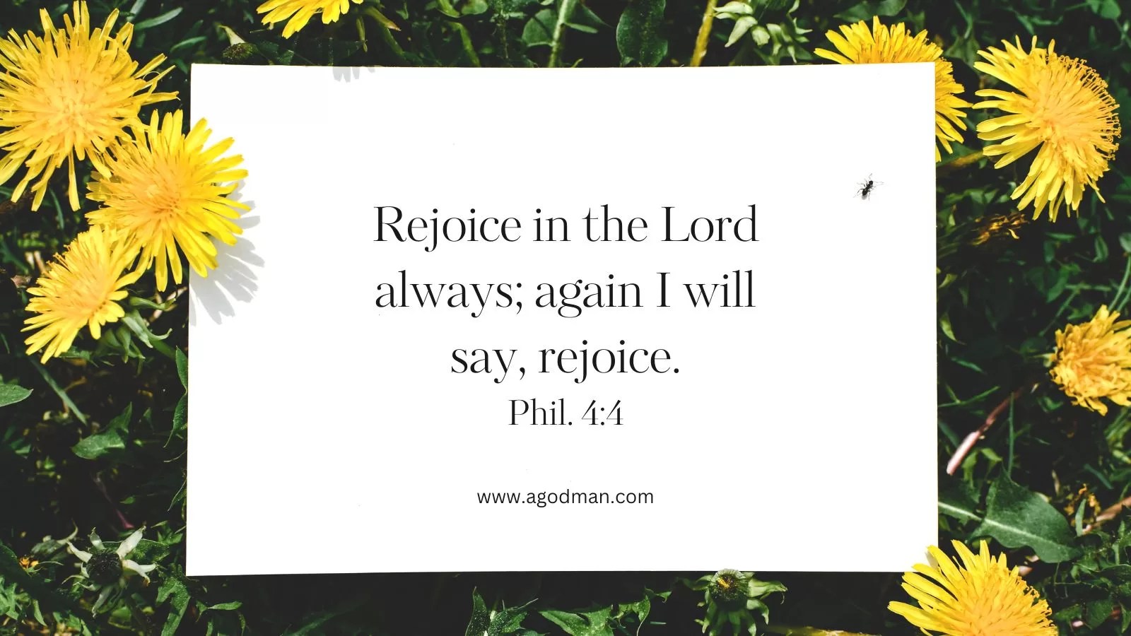 Rejoice in the Lord always; again I will say, rejoice. Phil. 4:4