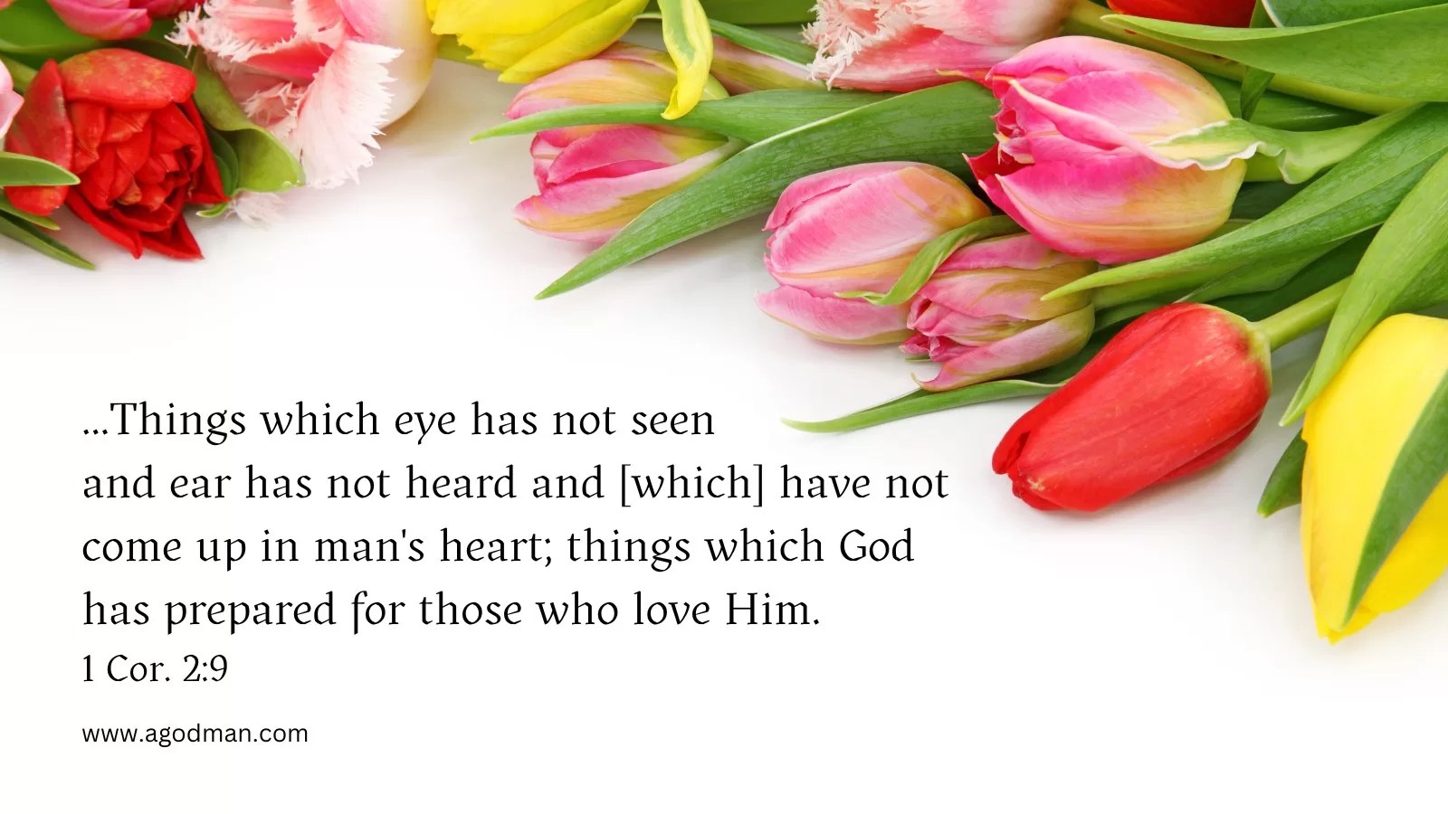 ...Things which eye has not seen and ear has not heard and [which] have not come up in man's heart; things which God has prepared for those who love Him. 1 Cor. 2:9