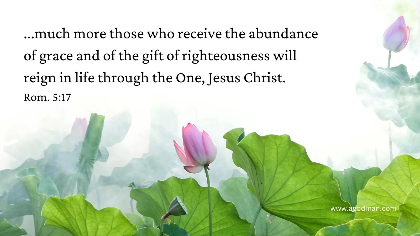 ...much more those who receive the abundance of grace and of the gift of righteousness will reign in life through the One, Jesus Christ. Rom. 5:17