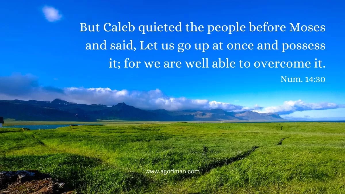But Caleb quieted the people before Moses and said, Let us go up at once and possess it; for we are well able to overcome it. Num. 14:30