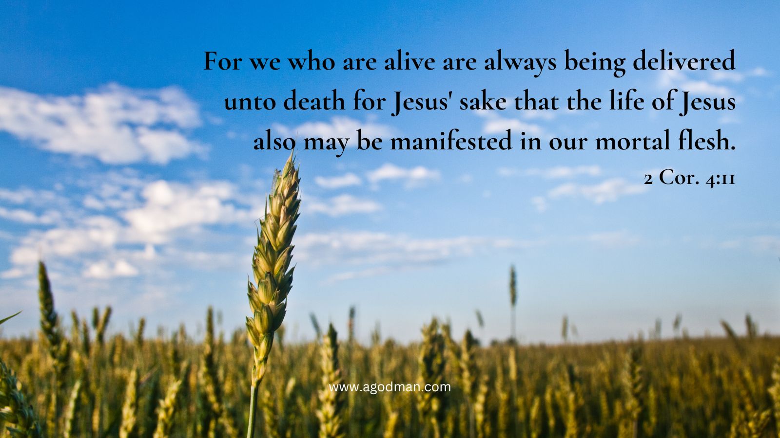 For we who are alive are always being delivered unto death for Jesus' sake that the life of Jesus also may be manifested in our mortal flesh. 2 Cor. 4:11