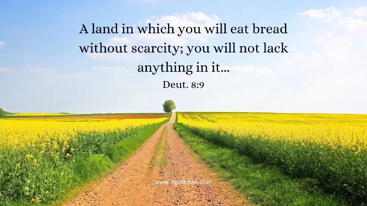 A land in which you will eat bread without scarcity; you will not lack anything in it... Deut. 8:9