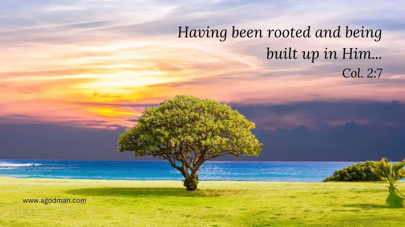 Having been rooted and being built up in Him... Col. 2:7