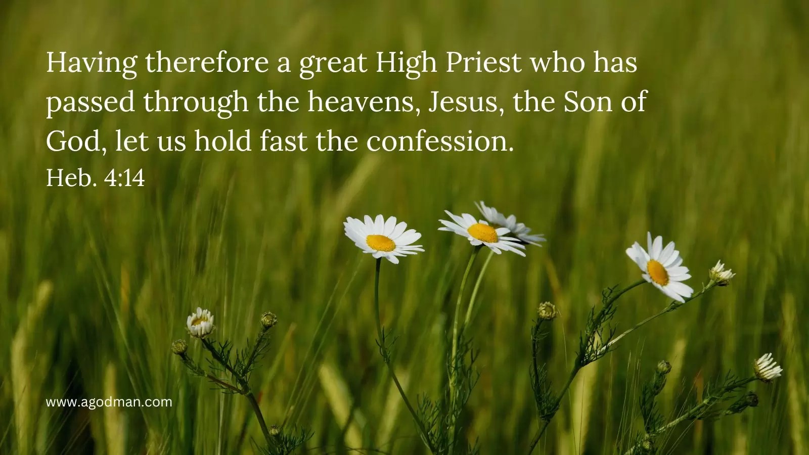 Having therefore a great High Priest who has passed through the heavens, Jesus, the Son of God, let us hold fast the confession. Heb. 4:14