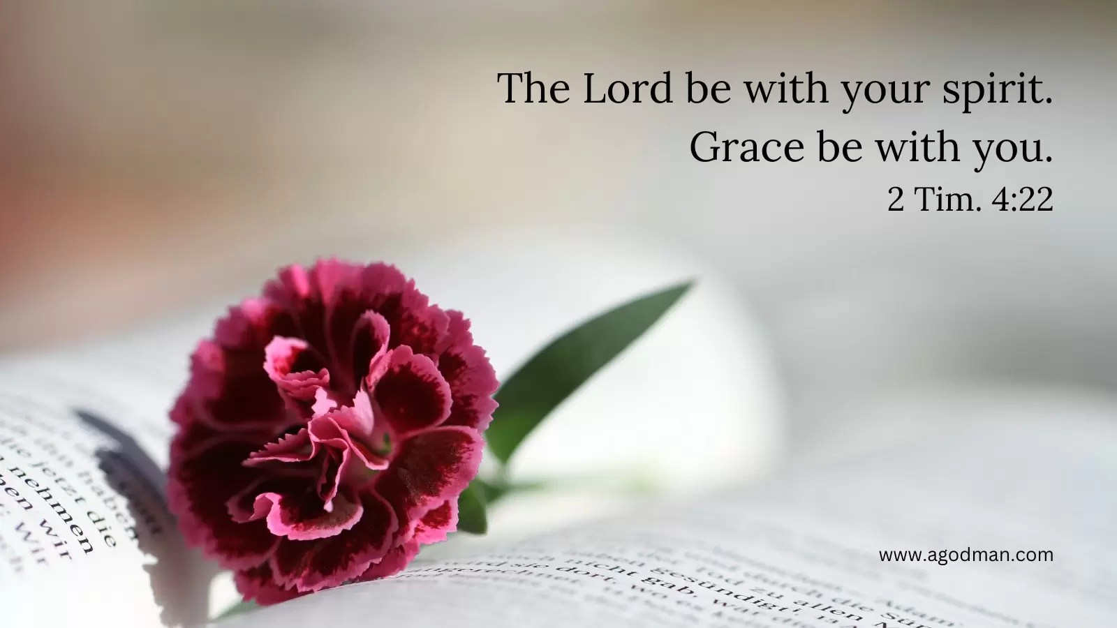 The Lord be with your spirit. Grace be with you. 2 Tim. 4:22