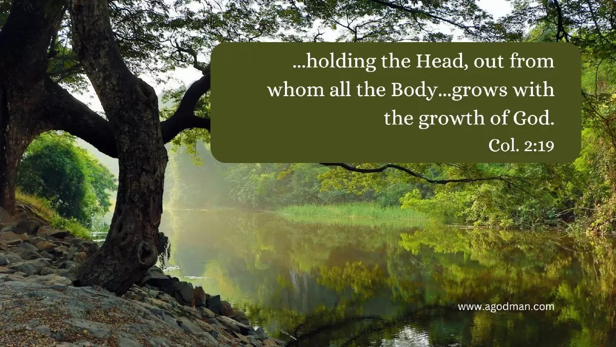 ...holding the Head, out from whom all the Body...grows with the growth of God. Col. 2:19