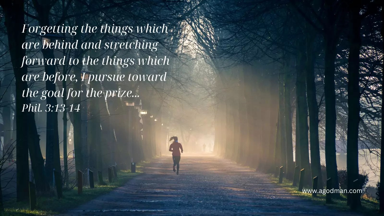 Forgetting the things which are behind and stretching forward to the things which are before, I pursue toward the goal for the prize... Phil. 3:13-14