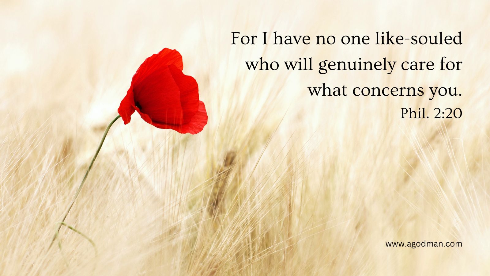 For I have no one like-souled who will genuinely care for what concerns you. Phil. 2:20