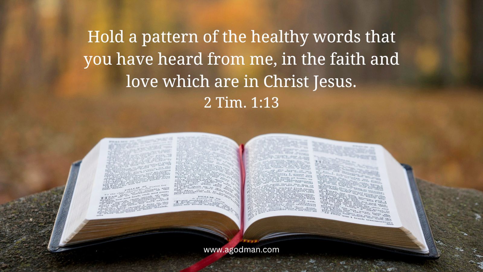 Hold a pattern of the healthy words that you have heard from me, in the faith and love which are in Christ Jesus. 2 Tim. 1:13