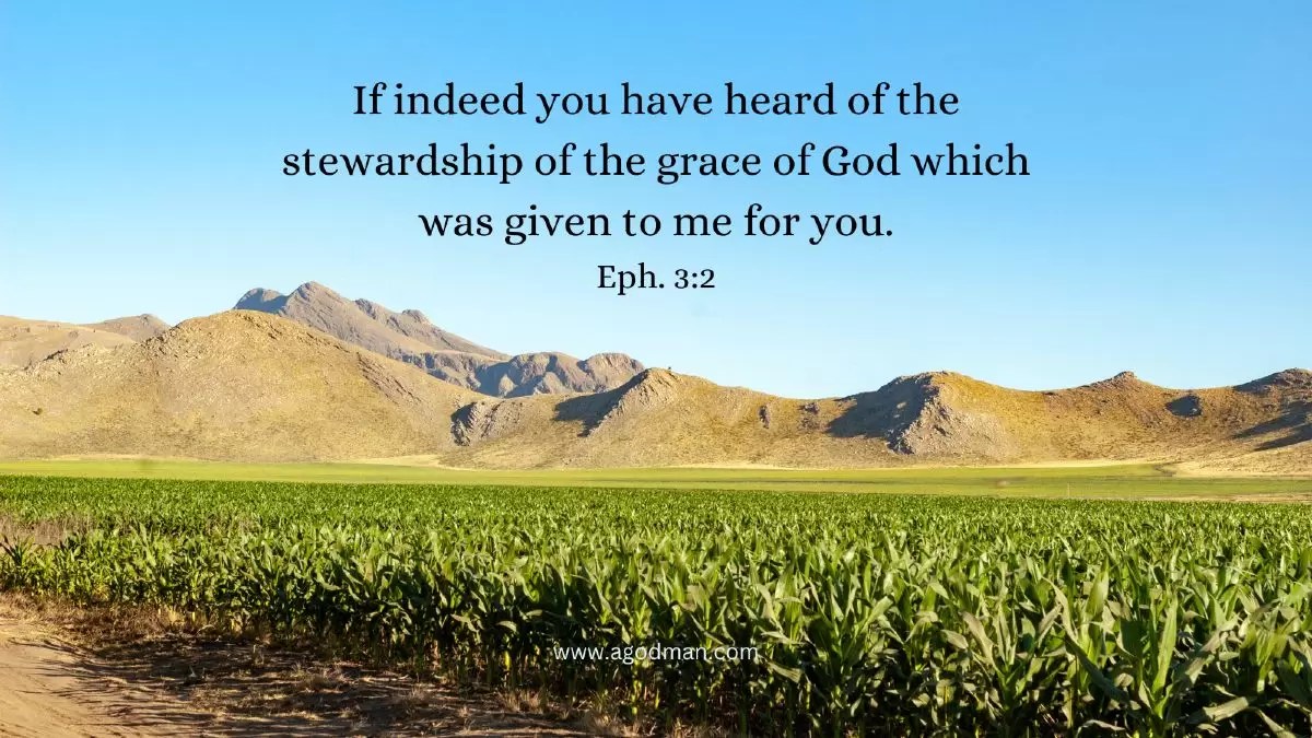 If indeed you have heard of the stewardship of the grace of God which was given to me for you. Eph. 3:2
