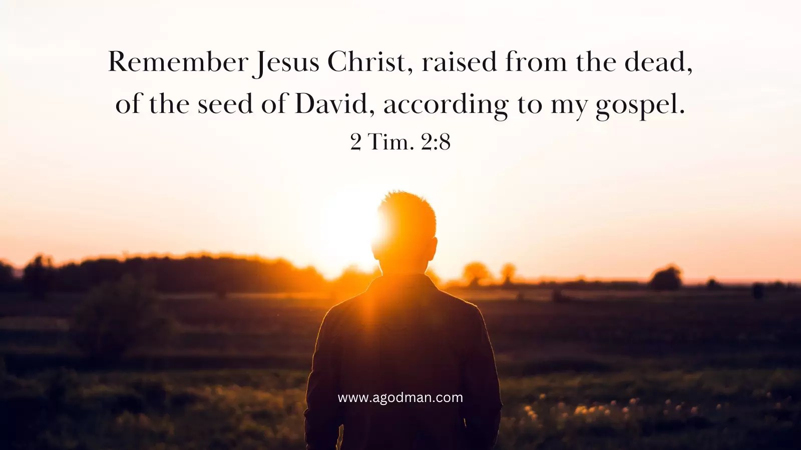 Remember Jesus Christ, raised from the dead, of the seed of David, according to my gospel. 2 Tim. 2:8