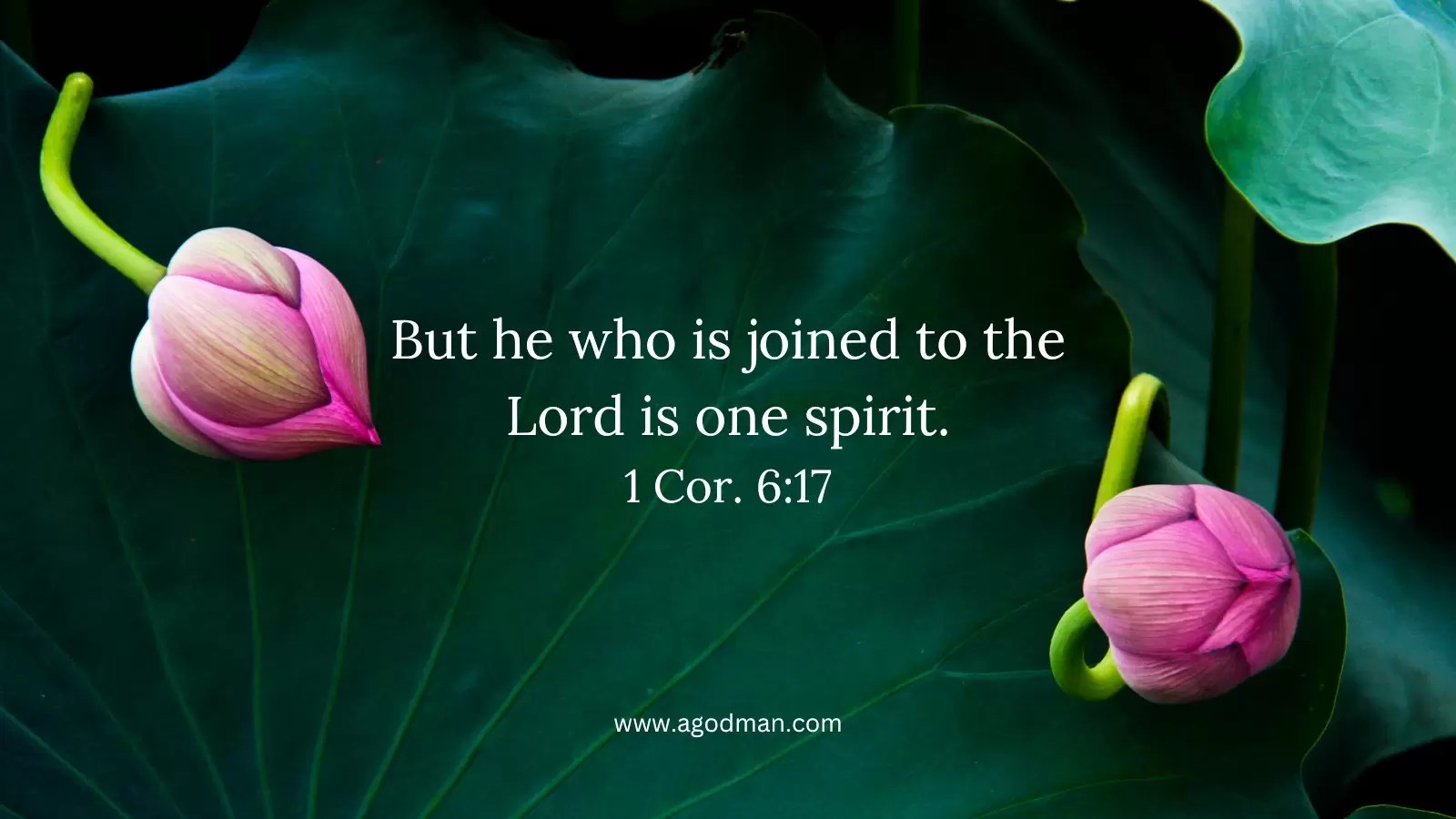 But he who is joined to the Lord is one spirit. 1 Cor. 6:17
