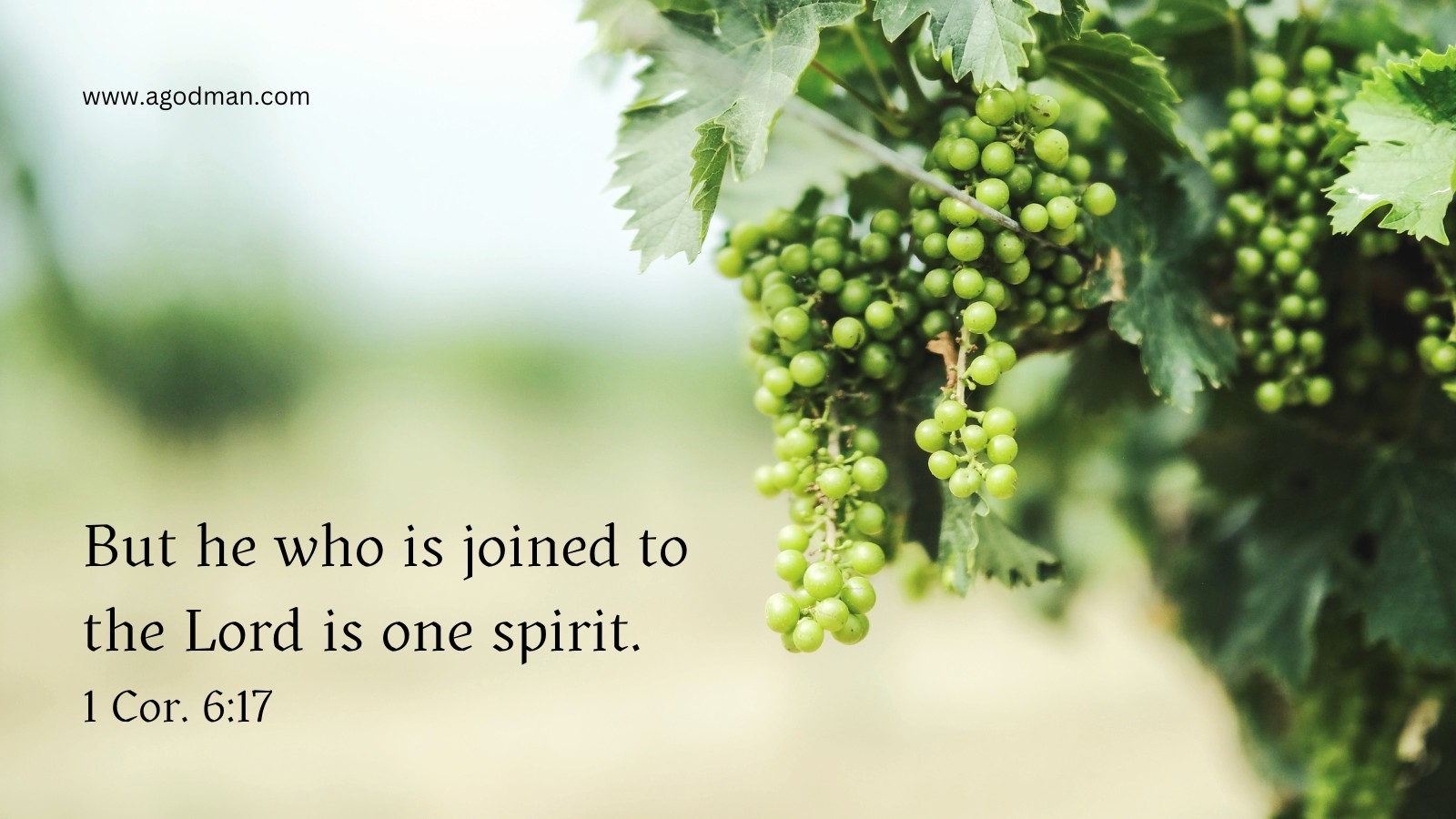 But he who is joined to the Lord is one spirit. 1 Cor. 6:17