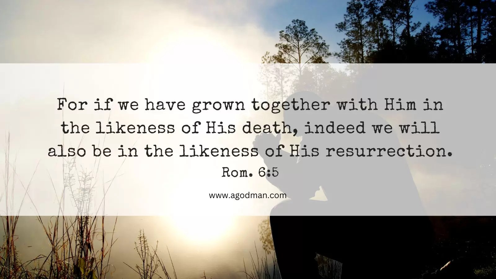 For if we have grown together with [Him] in the likeness of His death, indeed we will also be [in][ the] [likeness] of His resurrection. Rom. 6:5