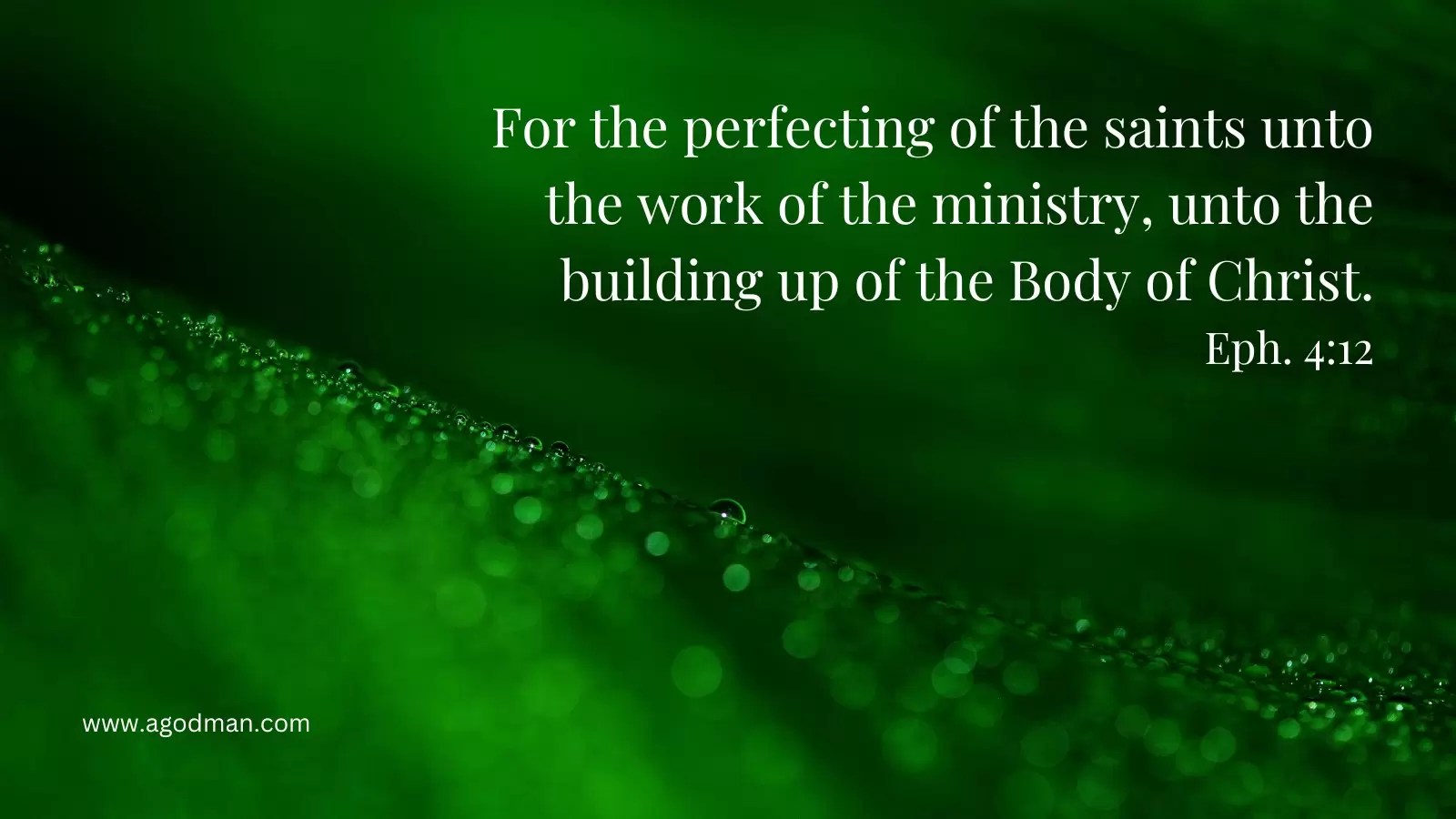 For the perfecting of the saints unto the work of the ministry, unto the building up of the Body of Christ. Eph. 4:12
