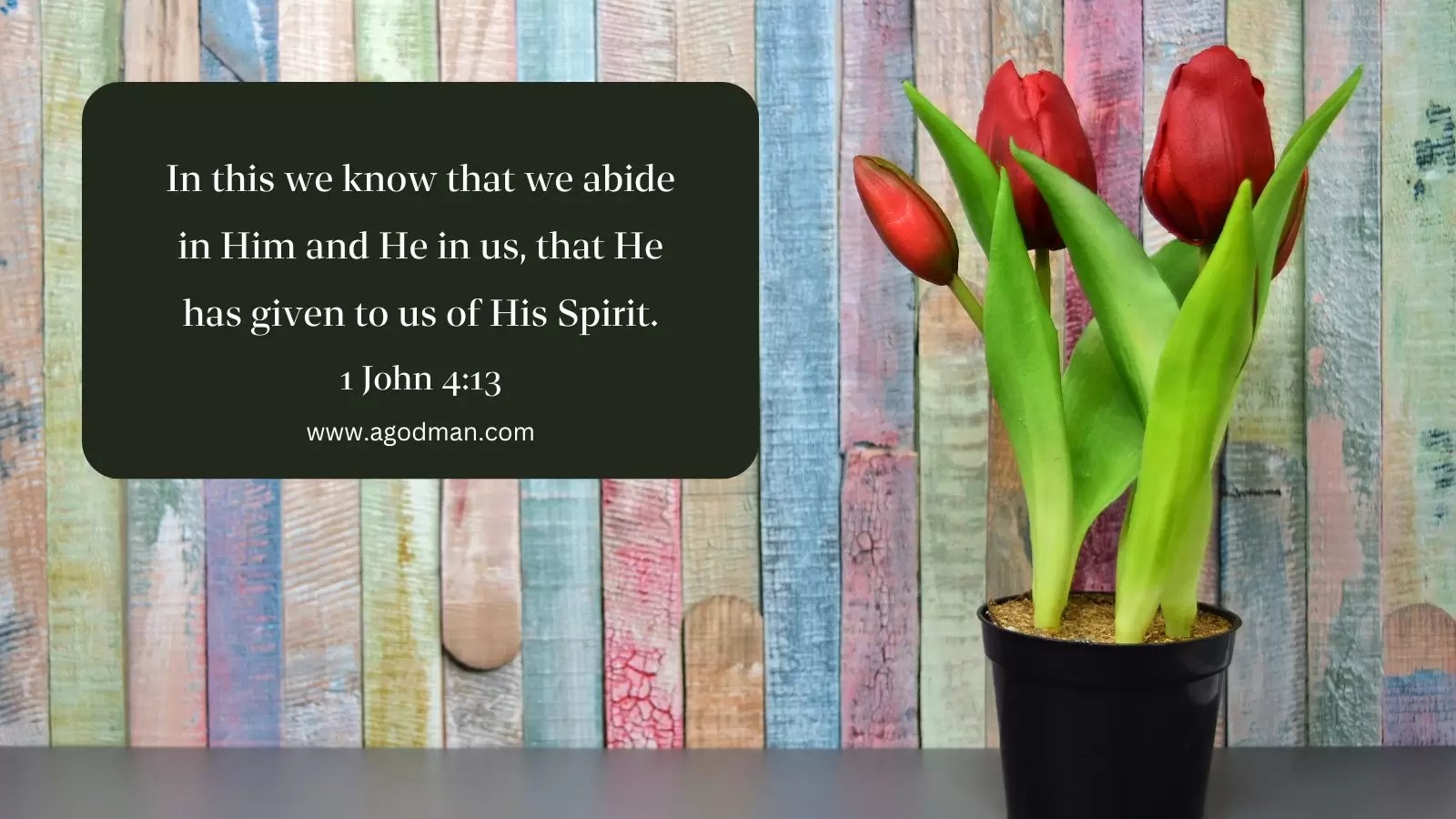 In this we know that we abide in Him and He in us, that He has given to us of His Spirit. 1 John 4:13
