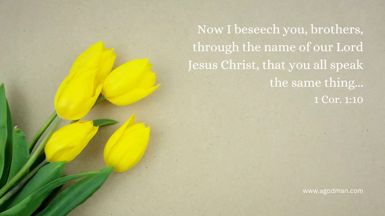 Now I beseech you, brothers, through the name of our Lord Jesus Christ, that you all speak the same thing... 1 Cor. 1:10