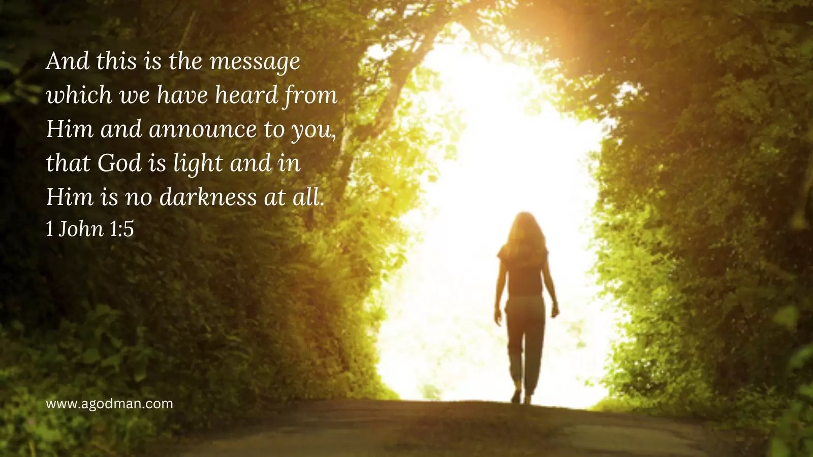 And this is the message which we have heard from Him and announce to you, that God is light and in Him is no darkness at all. 1 John 1:5