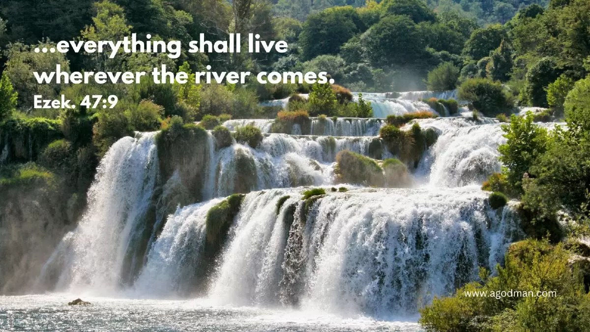 ...everything shall live wherever the river comes. Ezek. 47:9