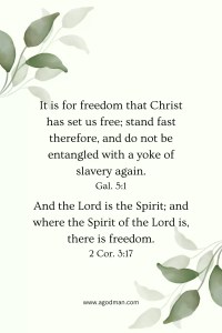 It is for freedom that Christ has set us free; stand fast therefore, and do not be entangled with a yoke of slavery again. Gal. 5:1 And the Lord is the Spirit; and where the Spirit of the Lord is, there is freedom. 2 Cor. 3:17
