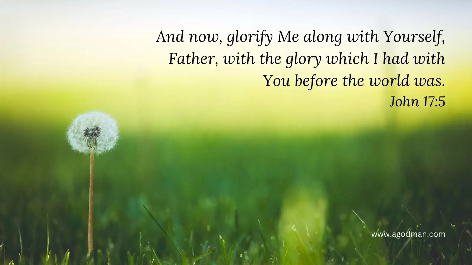 And now, glorify Me along with Yourself, Father, with the glory which I had with You before the world was. John 17:5