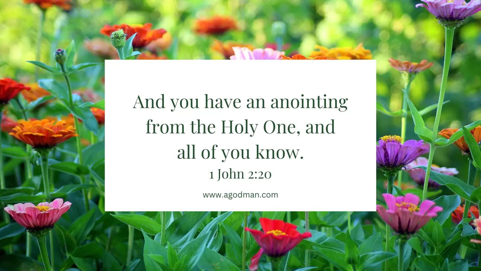 And you have an anointing from the Holy One, and all of you know. 1 John 2:20