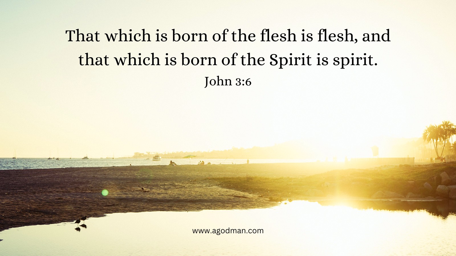 That which is born of the flesh is flesh, and that which is born of the Spirit is spirit. John 3:6