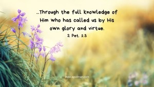 ...Through the full knowledge of Him who has called us by His own glory and virtue. 2 Pet. 1:3