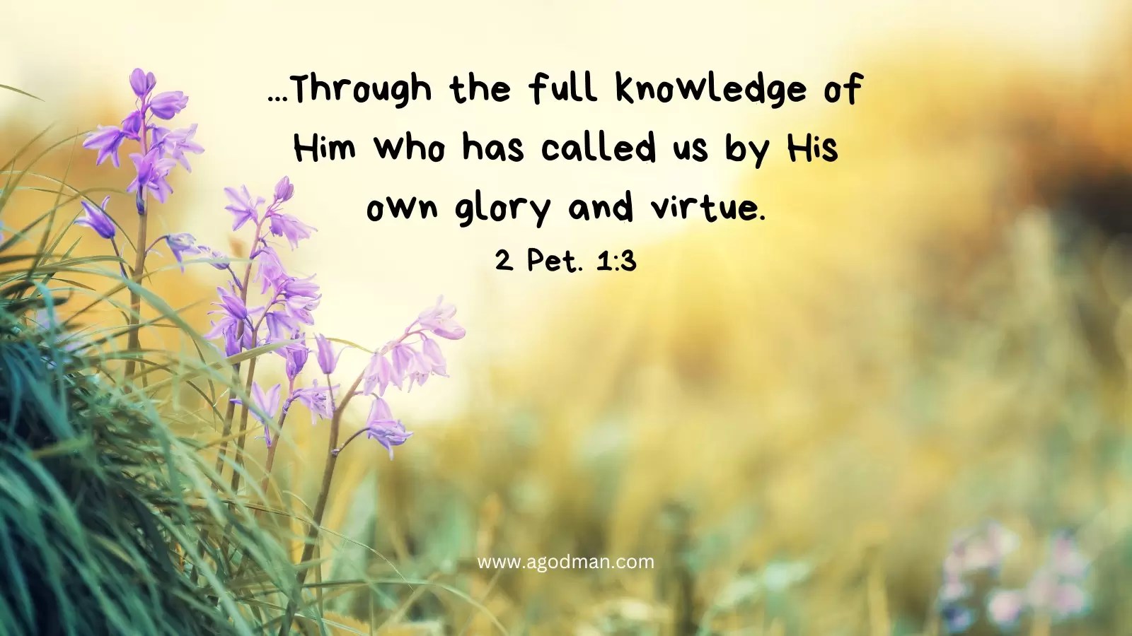 ...Through the full knowledge of Him who has called us by His own glory and virtue. 2 Pet. 1:3