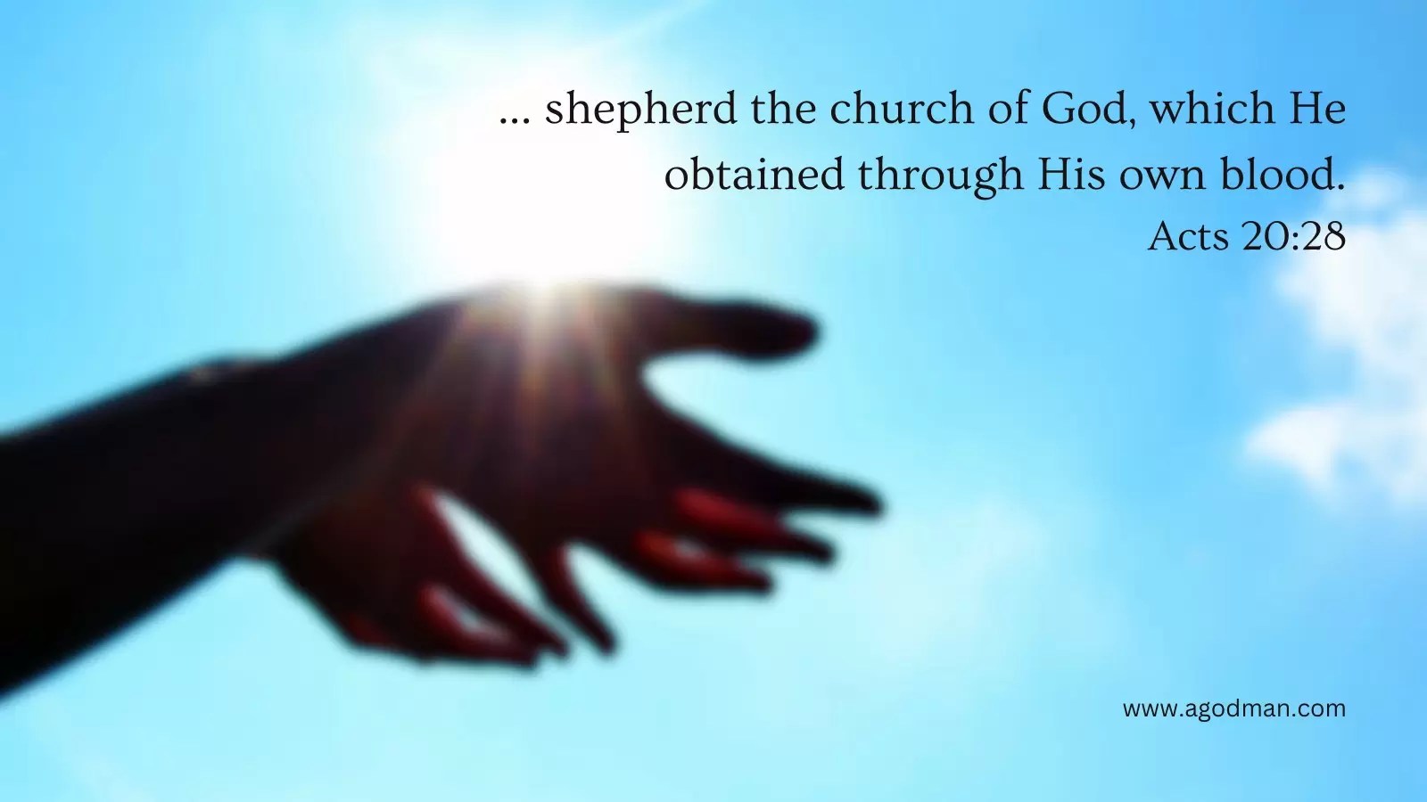 ... shepherd the church of God, which He obtained through His own blood. Acts 20:28