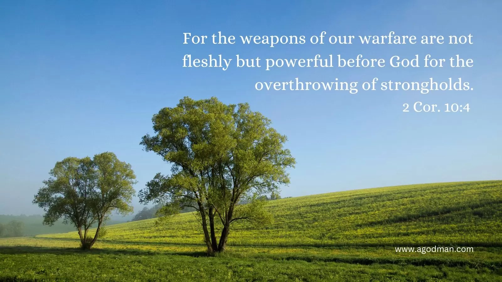 For the weapons of our warfare are not fleshly but powerful before God for the overthrowing of strongholds. 2 Cor. 10:4