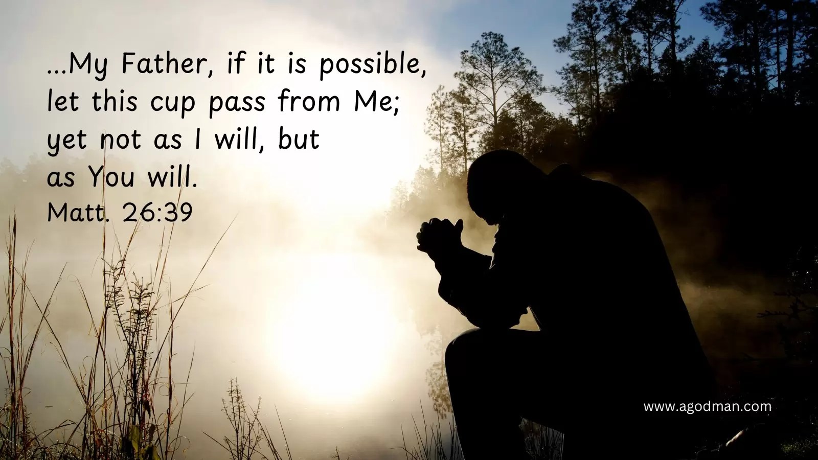 ...My Father, if it is possible, let this cup pass from Me; yet not as I will, but as You will. Matt. 26:39