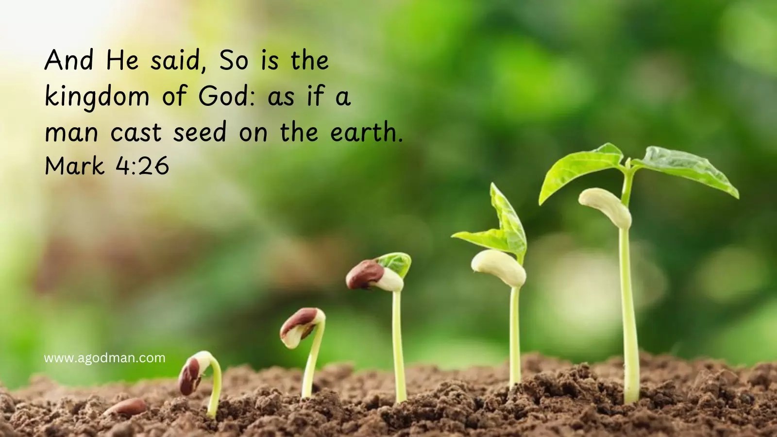 And He said, So is the kingdom of God: as if a man cast seed on the earth. Mark 4:26