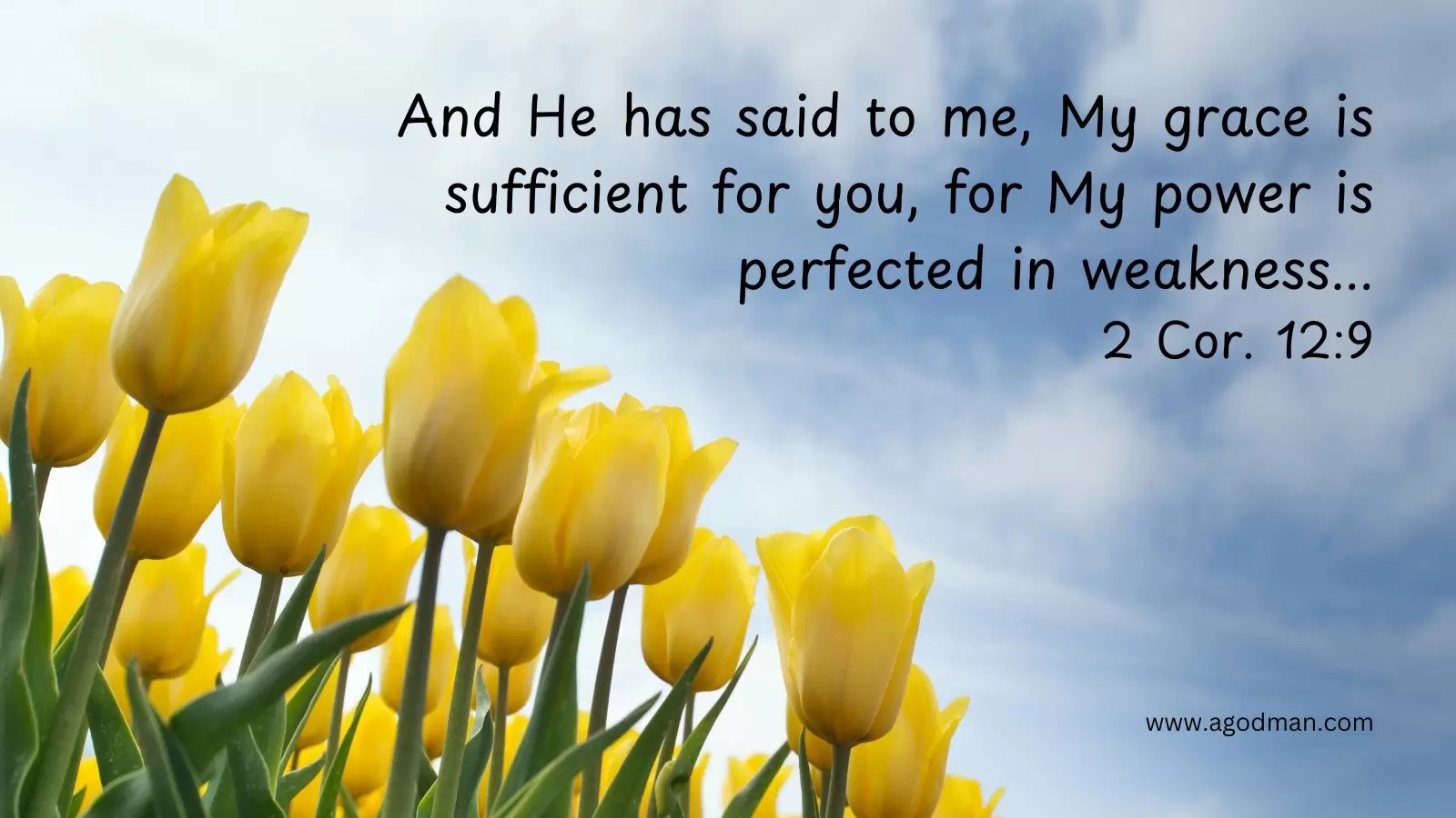 And He has said to me, My grace is sufficient for you, for My power is perfected in weakness...2 Cor. 12:9