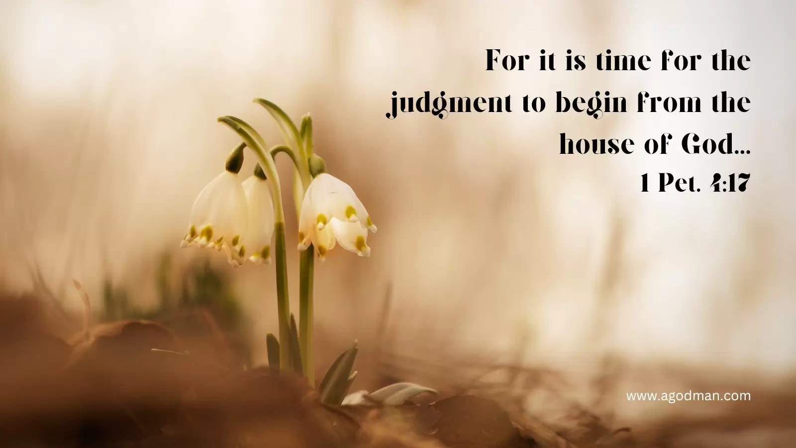 For it is time for the judgment to begin from the house of God...1 Pet. 4:17