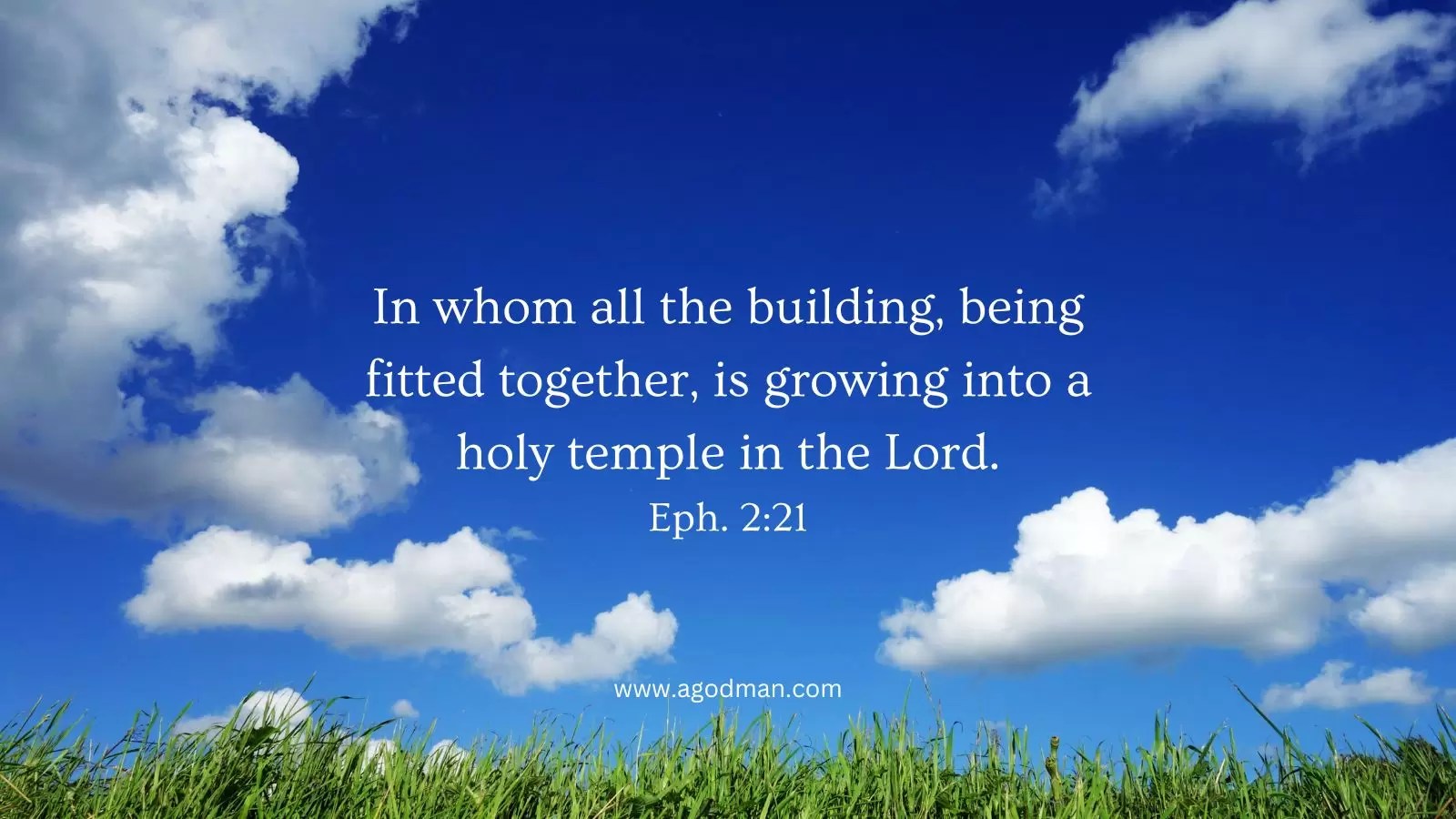 In whom all the building, being fitted together, is growing into a holy temple in the Lord. Eph. 2:21