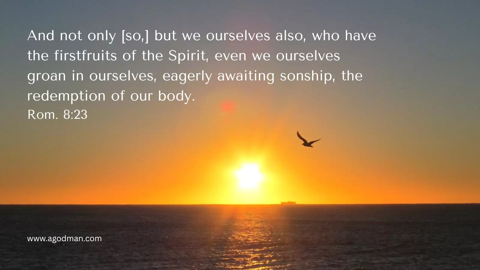 And not only [so,] but we ourselves also, who have the firstfruits of the Spirit, even we ourselves groan in ourselves, eagerly awaiting sonship, the redemption of our body. Rom. 8:23