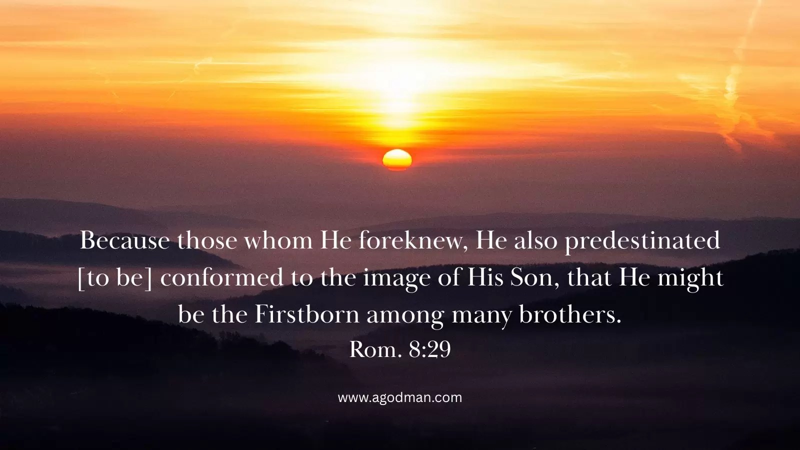 Because those whom He foreknew, He also predestinated [to be] conformed to the image of His Son, that He might be the Firstborn among many brothers. Rom. 8:29